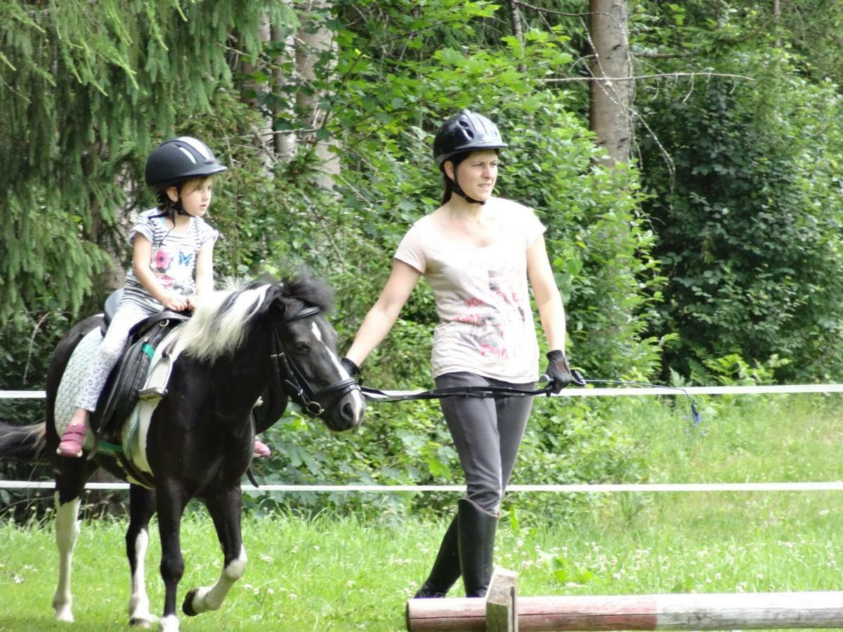 Vordersattlegghof Villa Hüttau Kültér fotó